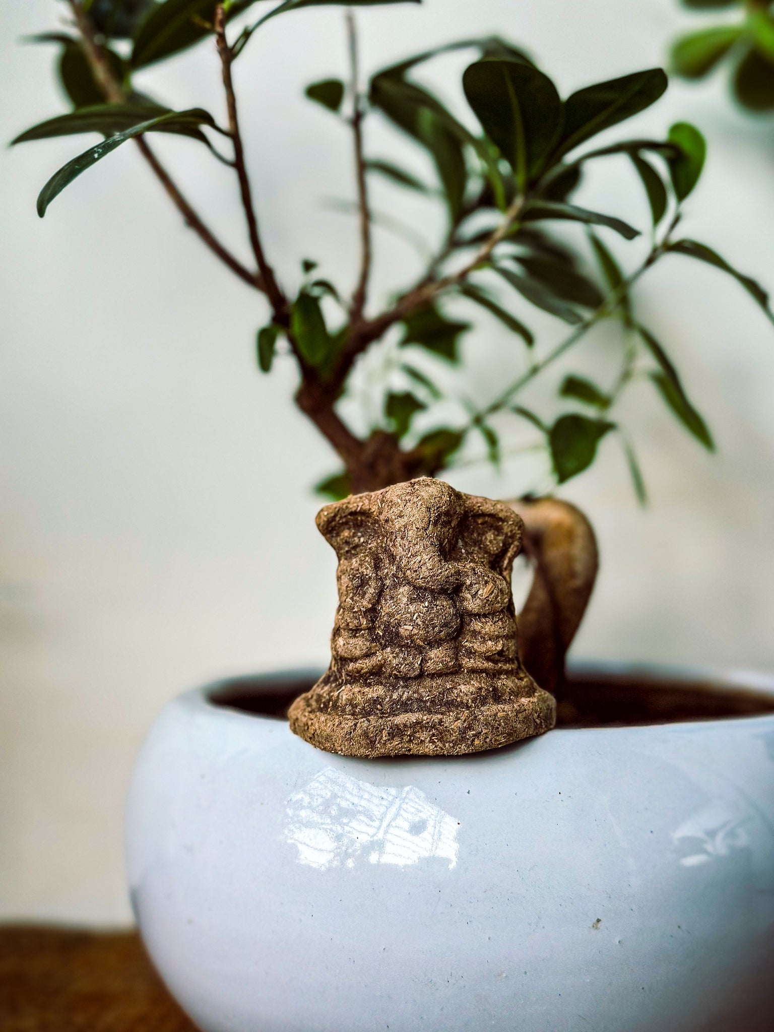 Gomaya Ganesha